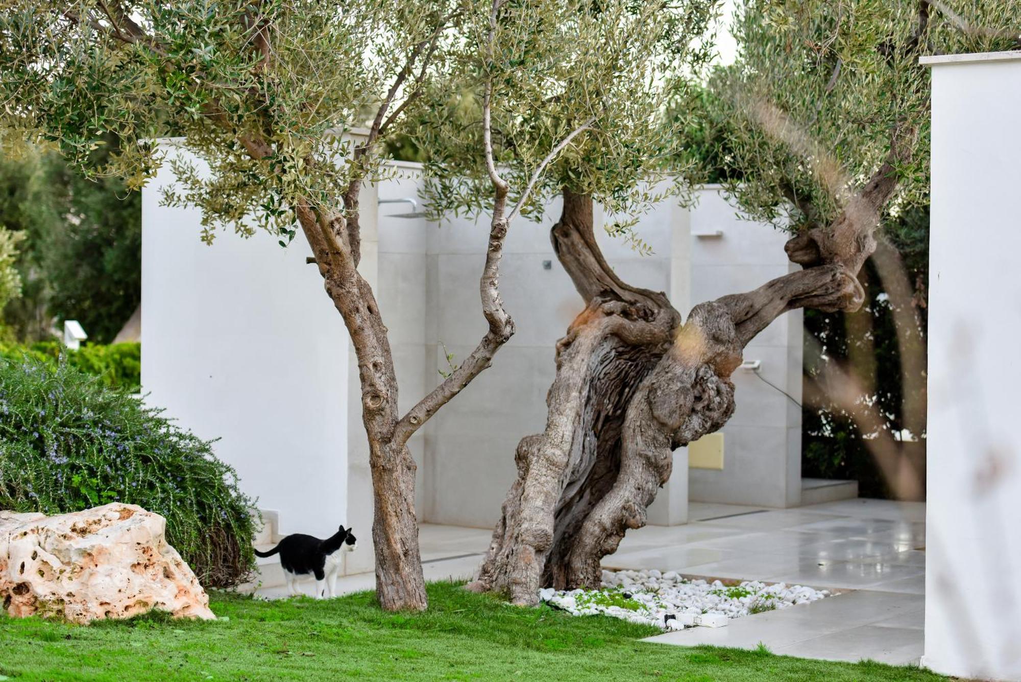 Villa VINNER Wellness&SPA Monopoli Exterior foto