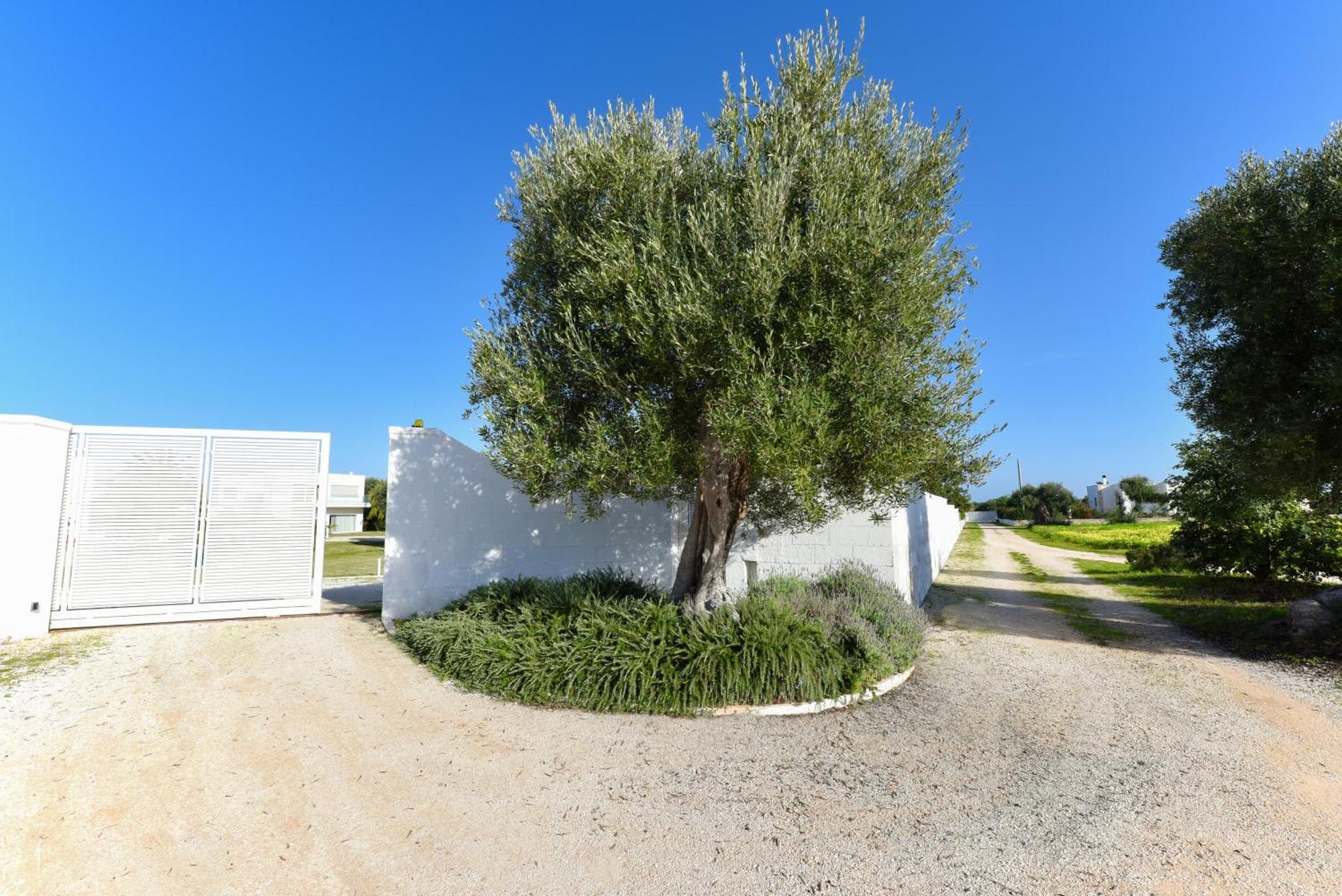 Villa VINNER Wellness&SPA Monopoli Exterior foto